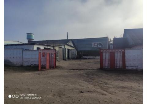 Прибыльный автосервис в центре Молодечно