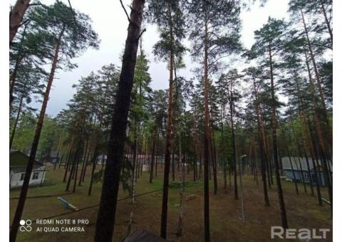 База отдыха Мирадино в Могилевской области