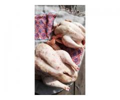 Бизнес по доставке фермерских продуктов